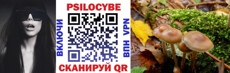 Купить закладки  Волгореченск  Псилоцибиновые грибы прущие грибы 